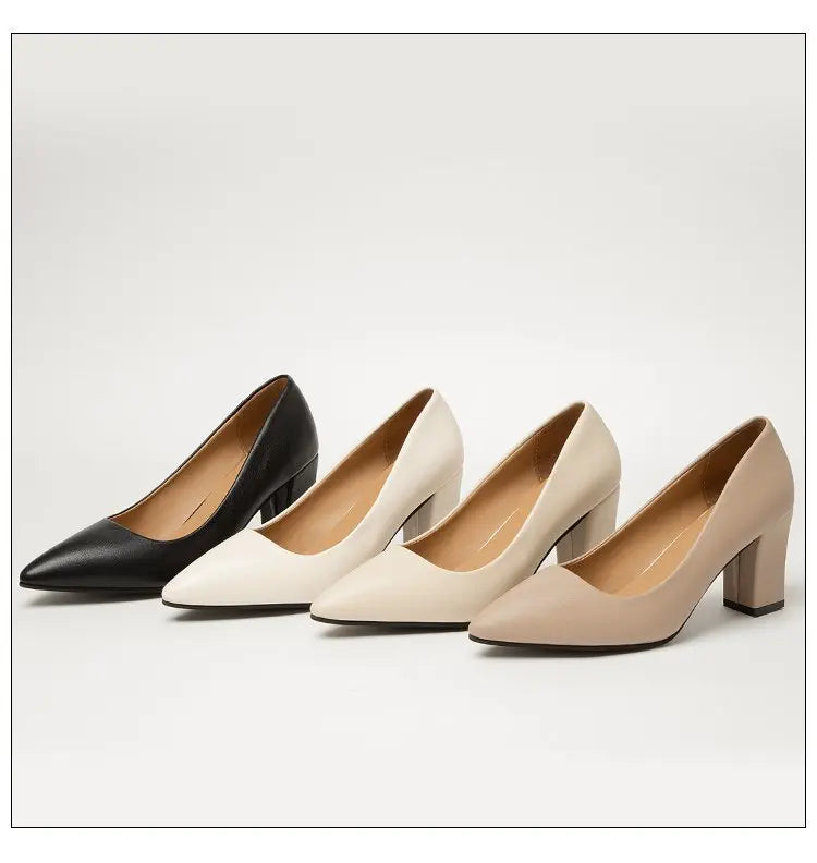 High Heels Women 2022 New Korean Style Pointed Shallow Mouth Thick Heel Fashion Shoes Sapatos De Mujer - Belvar