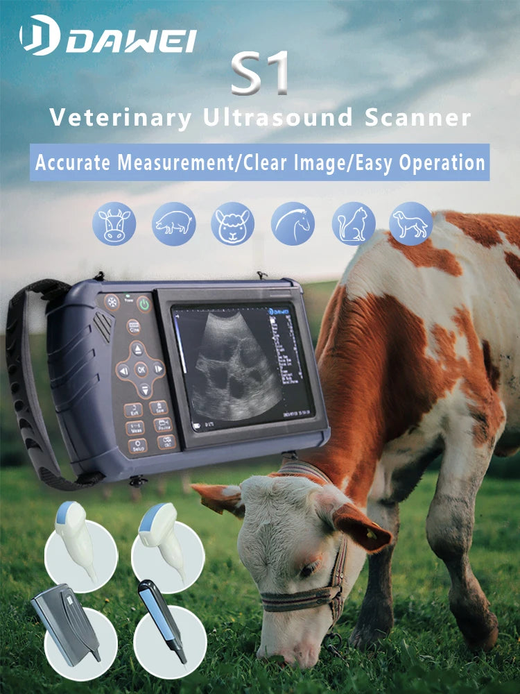 Portable Veterinary Ultrasound Scanner Vet B-Ultra Pregnancy Machine Handheld (B, BB, 4B, B+M, M) for Pig Sheep Cattle Horse Dog
