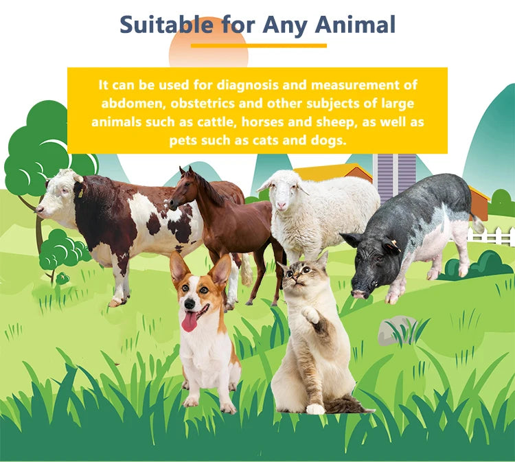Portable Veterinary Ultrasound Scanner Vet B-Ultra Pregnancy Machine Handheld (B, BB, 4B, B+M, M) for Pig Sheep Cattle Horse Dog