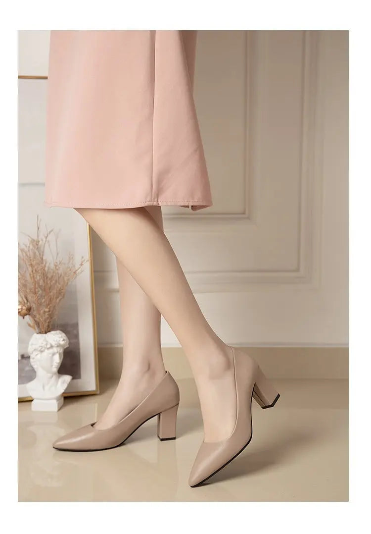 High Heels Women 2022 New Korean Style Pointed Shallow Mouth Thick Heel Fashion Shoes Sapatos De Mujer - Belvar