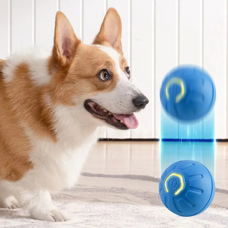 1pc Dog Ball Automatic Bouncing Ball for Dogs Puppy Essentials Vibrating Dog Ball Dog Birthday Interactive Dog Toys 