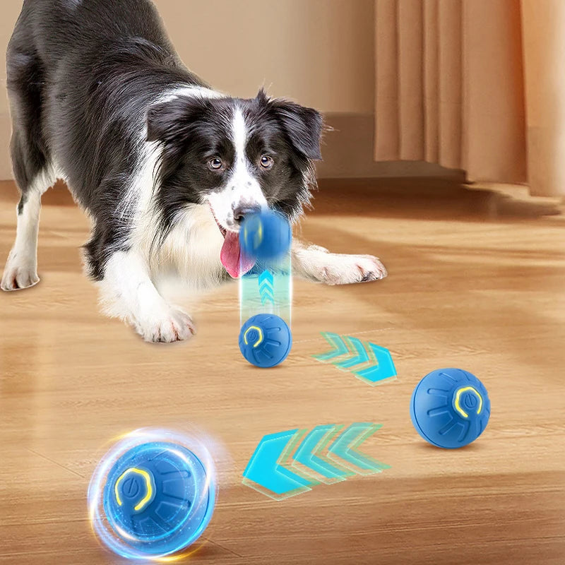 1pc Dog Ball Automatic Bouncing Ball for Dogs Puppy Essentials Vibrating Dog Ball Dog Birthday Interactive Dog Toys 