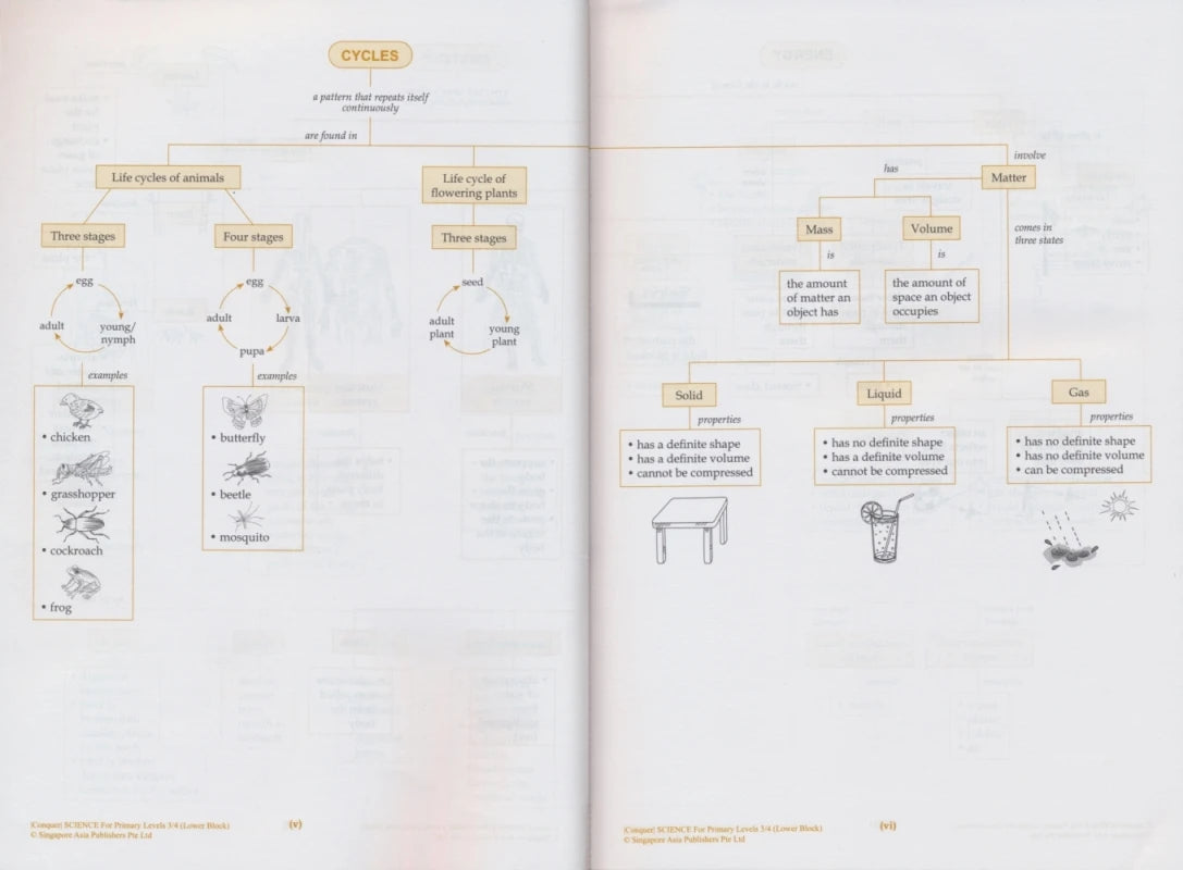Singapore Science Primary School Grades 1-6 SAP Learning + Conquer Science Science Subject Workbook Knowledge Series