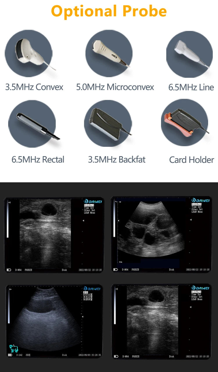 Portable Veterinary Ultrasound Scanner Vet B-Ultra Pregnancy Machine Handheld (B, BB, 4B, B+M, M) for Pig Sheep Cattle Horse Dog