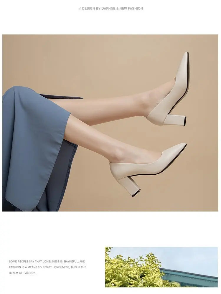 High Heels Women 2022 New Korean Style Pointed Shallow Mouth Thick Heel Fashion Shoes Sapatos De Mujer - Belvar