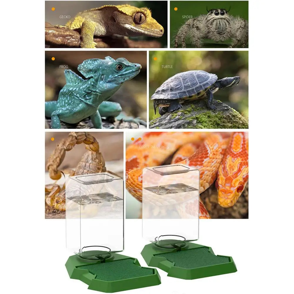 Reptile Water Bottle Automatic Reptile Water Dish With Bottle Tortoise Turtle Water Dispenser For Bearded Dragons Lizards