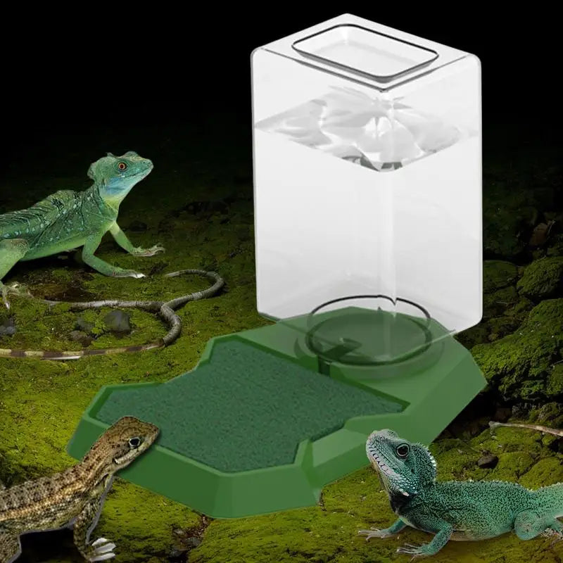 Reptile Water Bottle Automatic Reptile Water Dish With Bottle Tortoise Turtle Water Dispenser For Bearded Dragons Lizards