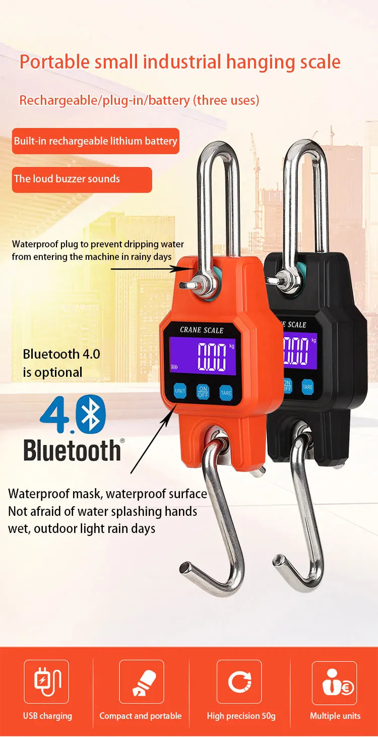 WeiHeng C06 Portable Electronic Hook Scale Charging Bluetooth Mini Lifting Scale For Household Use