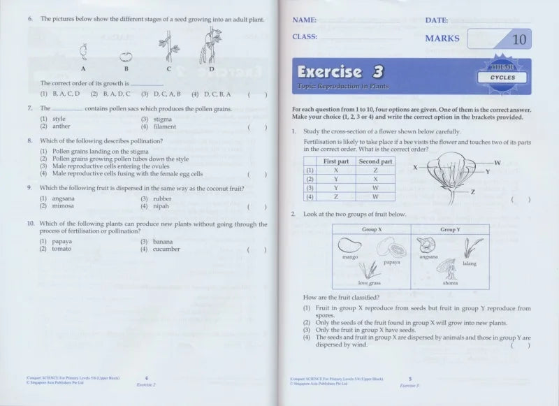Singapore Science Primary School Grades 1-6 SAP Learning + Conquer Science Science Subject Workbook Knowledge Series
