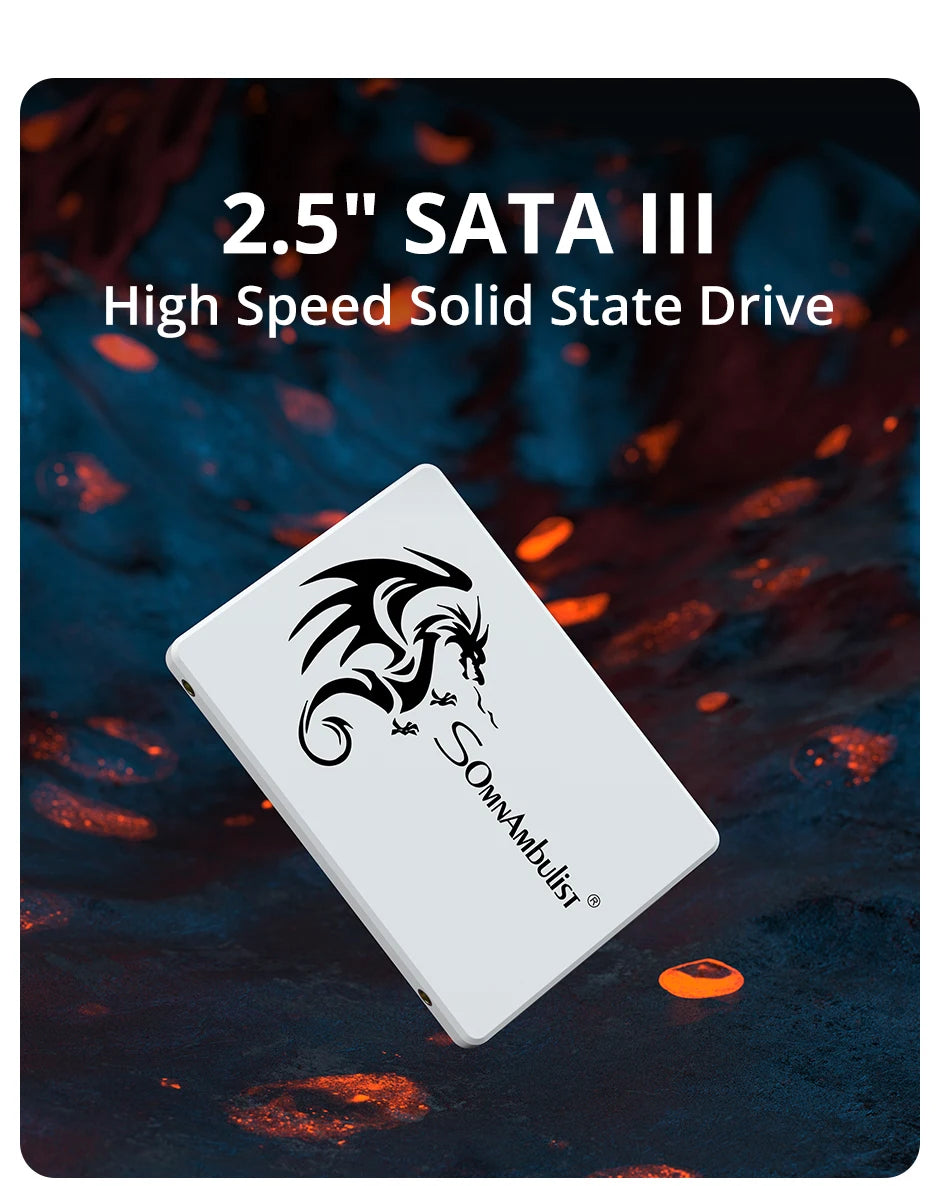 SomnAmbulist SSD 2.5 64GB 128GB 256GB 512GB for Laptop Desktop Solid State Drive Sata3 120GB 240GB 480GB