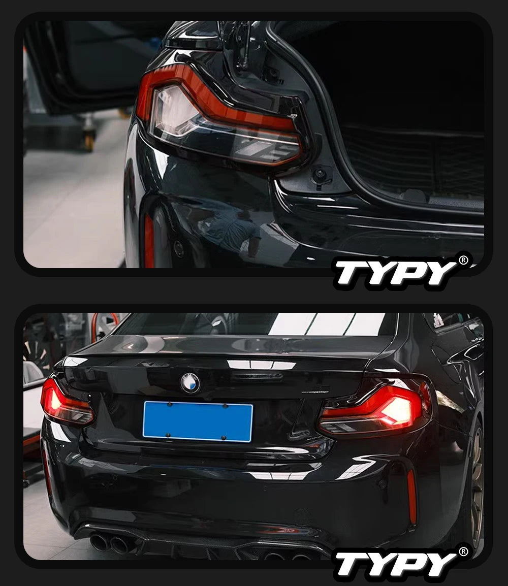 TYPY Car Lights LED Rear Lamps For BMW 2 Series F22 Taillights Assembly 220i 225i M2 F23 F87 Dynamic DRL Turn Signals Plug Play