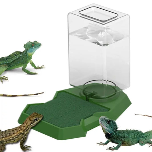 Reptile Water Bottle Automatic Reptile Water Dish With Bottle Tortoise Turtle Water Dispenser For Bearded Dragons Lizards