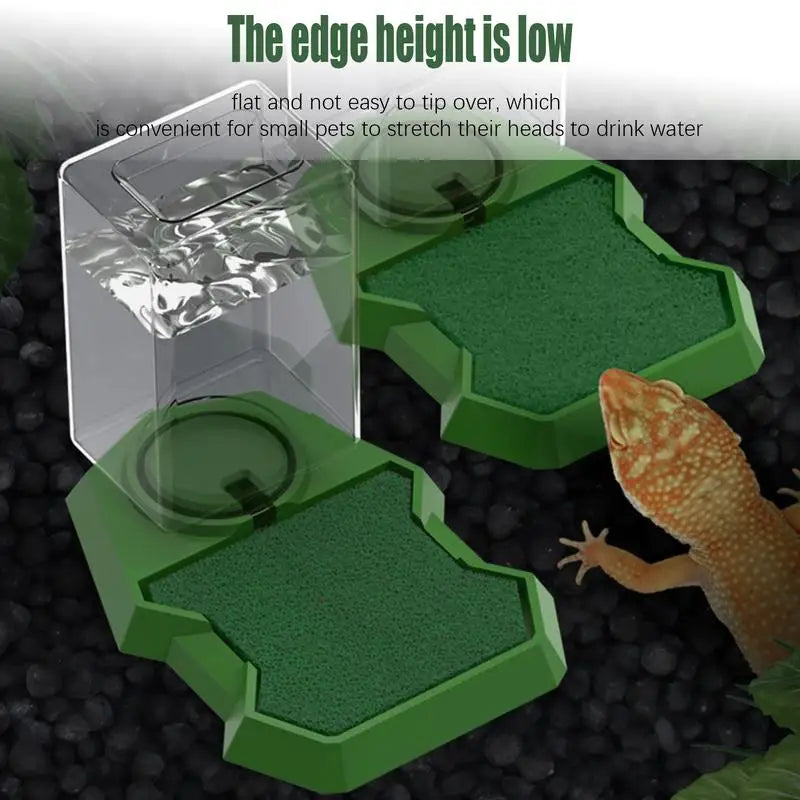 Reptile Water Bottle Automatic Reptile Water Dish With Bottle Tortoise Turtle Water Dispenser For Bearded Dragons Lizards